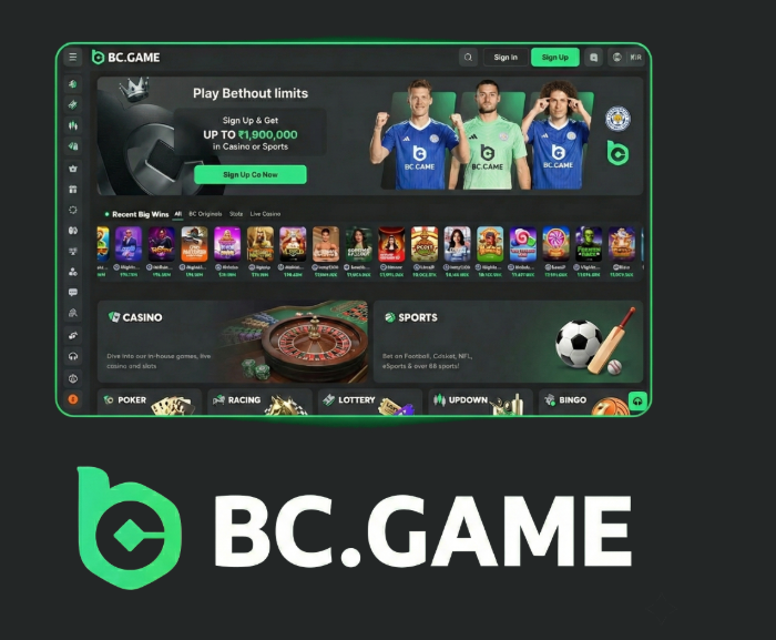 Unlock Exciting Rewards Comprehensive Guide to BC.Game Bonuses and Promo Codes Unlock Exciting Rewards Comprehensive Guide to BC.Game Bonuses and Promo Codes